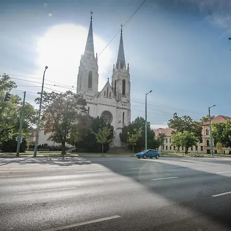 Rózsa *